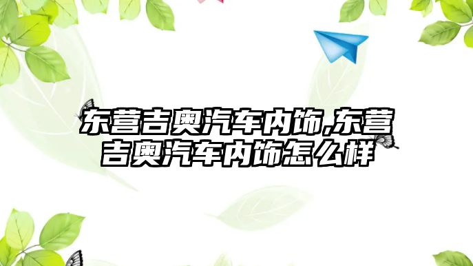 東營吉奧汽車內飾,東營吉奧汽車內飾怎么樣