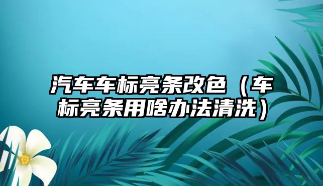 汽車車標亮條改色（車標亮條用啥辦法清洗）