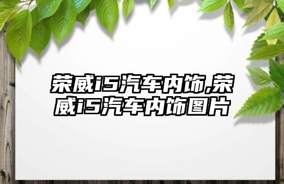 榮威i5汽車內飾,榮威i5汽車內飾圖片