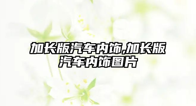 加長版汽車內飾,加長版汽車內飾圖片