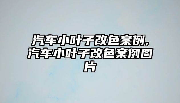 汽車小葉子改色案例,汽車小葉子改色案例圖片