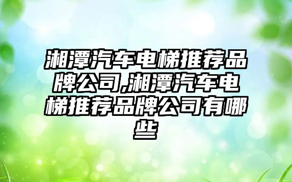 湘潭汽車電梯推薦品牌公司,湘潭汽車電梯推薦品牌公司有哪些