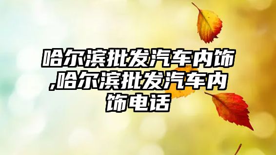 哈爾濱批發(fā)汽車內(nèi)飾,哈爾濱批發(fā)汽車內(nèi)飾電話