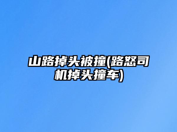 山路掉頭被撞(路怒司機掉頭撞車)