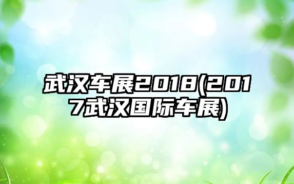 武漢車展2018(2017武漢國際車展)