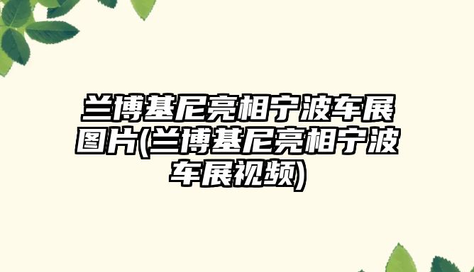 蘭博基尼亮相寧波車展圖片(蘭博基尼亮相寧波車展視頻)