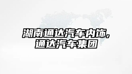 湖南通達汽車內飾,通達汽車集團