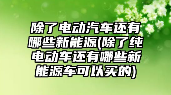 除了電動汽車還有哪些新能源(除了純電動車還有哪些新能源車可以買的)