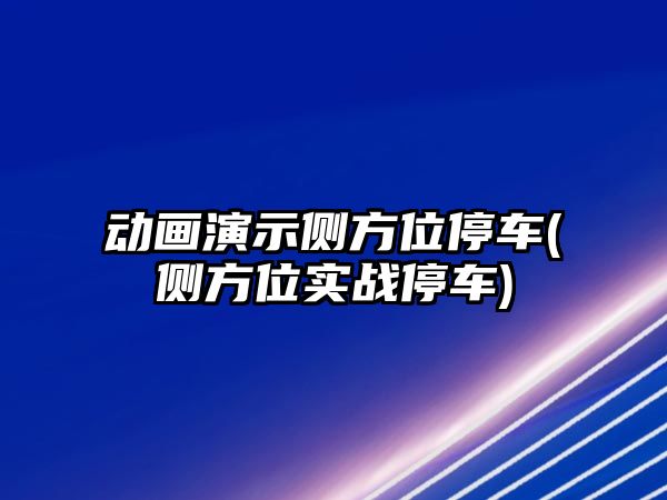 動畫演示側方位停車(側方位實戰停車)