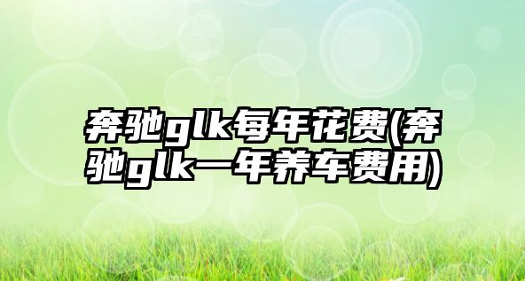 奔馳glk每年花費(奔馳glk一年養(yǎng)車費用)