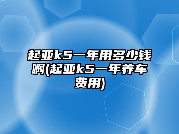 起亞k5一年用多少錢啊(起亞k5一年養車費用)