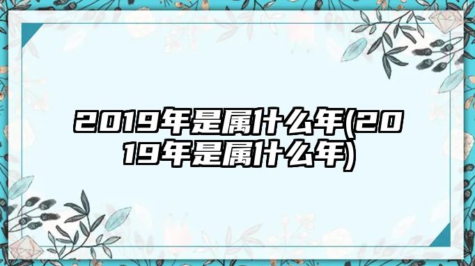 2019年是屬什么年(2019年是屬什么年)