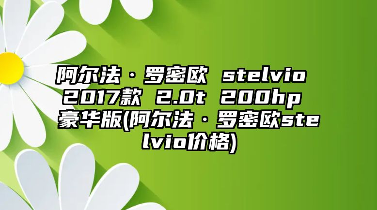 阿爾法·羅密歐 stelvio 2017款 2.0t 200hp 豪華版(阿爾法·羅密歐stelvio價格)