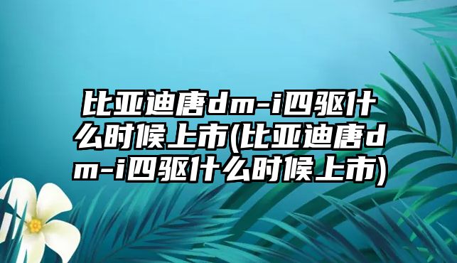 比亞迪唐dm-i四驅(qū)什么時候上市(比亞迪唐dm-i四驅(qū)什么時候上市)