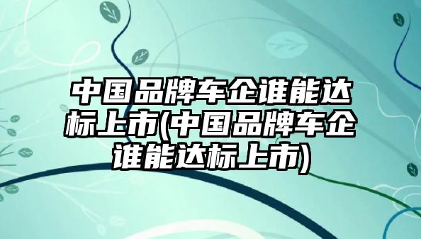 中國(guó)品牌車企誰(shuí)能達(dá)標(biāo)上市(中國(guó)品牌車企誰(shuí)能達(dá)標(biāo)上市)