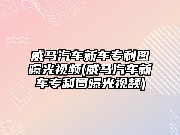 威馬汽車新車專利圖曝光視頻(威馬汽車新車專利圖曝光視頻)