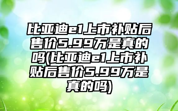 比亞迪e1上市補貼后售價5.99萬是真的嗎(比亞迪e1上市補貼后售價5.99萬是真的嗎)