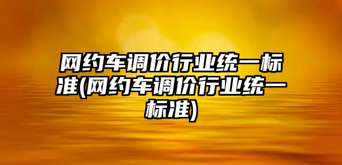 網約車調價行業統一標準(網約車調價行業統一標準)