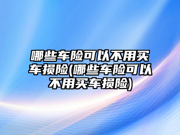 哪些車險可以不用買車損險(哪些車險可以不用買車損險)