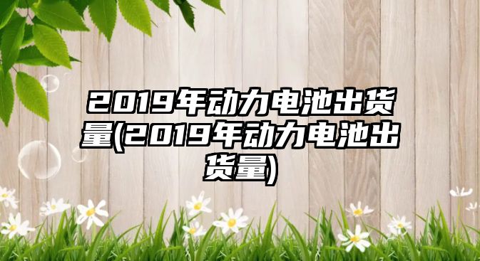 2019年動力電池出貨量(2019年動力電池出貨量)