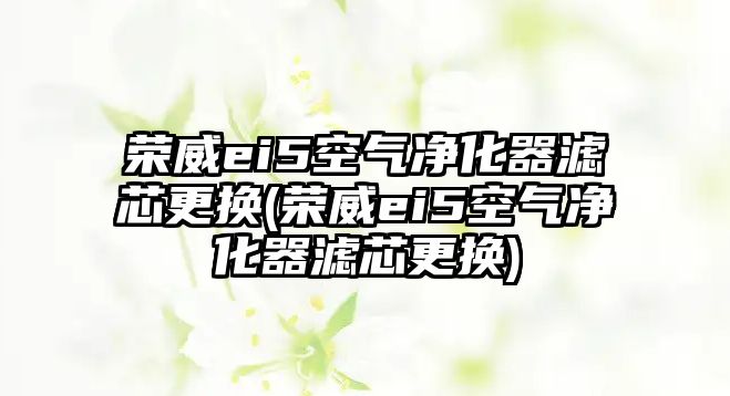 榮威ei5空氣凈化器濾芯更換(榮威ei5空氣凈化器濾芯更換)