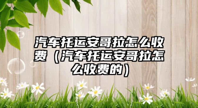 汽車托運安哥拉怎么收費（汽車托運安哥拉怎么收費的）