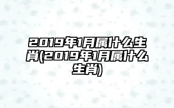 2019年1月屬什么生肖(2019年1月屬什么生肖)