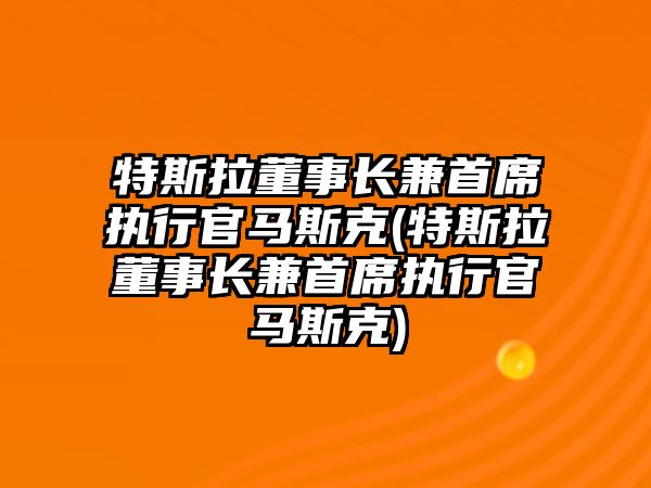 特斯拉董事長兼首席執行官馬斯克(特斯拉董事長兼首席執行官馬斯克)