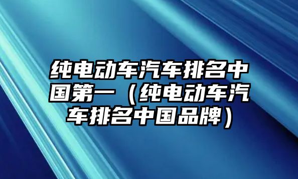 純電動車汽車排名中國第一（純電動車汽車排名中國品牌）