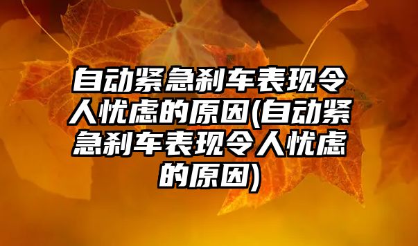 自動緊急剎車表現令人憂慮的原因(自動緊急剎車表現令人憂慮的原因)