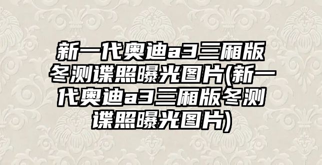 新一代奧迪a3三廂版冬測(cè)諜照曝光圖片(新一代奧迪a3三廂版冬測(cè)諜照曝光圖片)