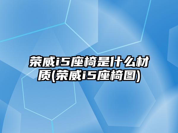 榮威i5座椅是什么材質(zhì)(榮威i5座椅圖)