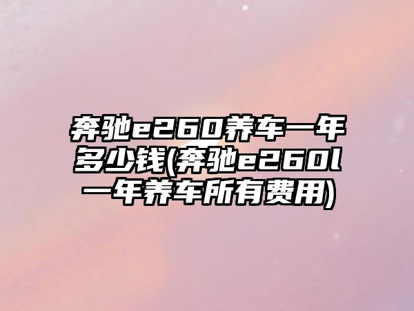 奔馳e260養車一年多少錢(奔馳e260l一年養車所有費用)