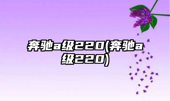 奔馳a級220(奔馳a級220)