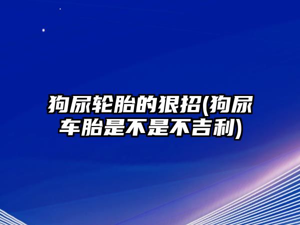 狗尿輪胎的狠招(狗尿車胎是不是不吉利)