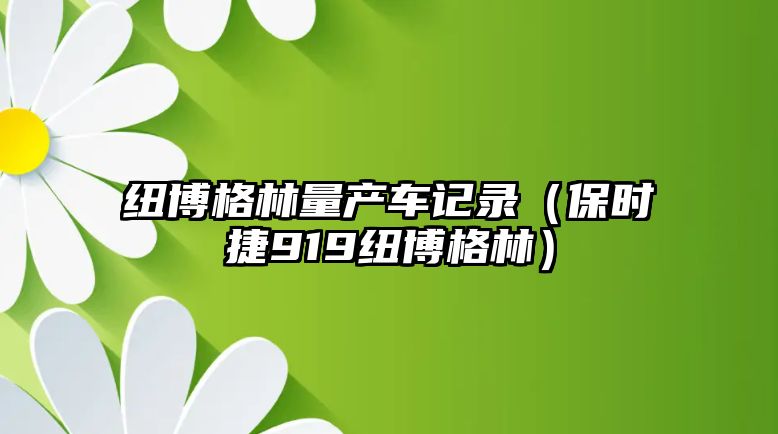 紐博格林量產車記錄（保時捷919紐博格林）