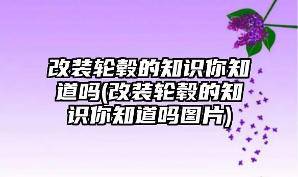 改裝輪轂的知識你知道嗎(改裝輪轂的知識你知道嗎圖片)