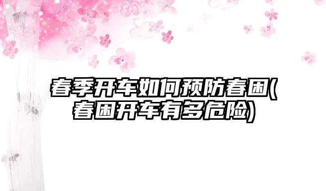 春季開車如何預防春困(春困開車有多危險)