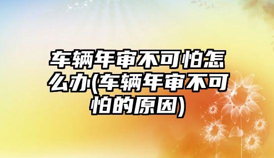 車輛年審不可怕怎么辦(車輛年審不可怕的原因)