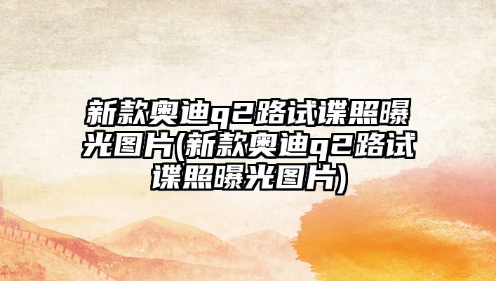 新款奧迪q2路試諜照曝光圖片(新款奧迪q2路試諜照曝光圖片)