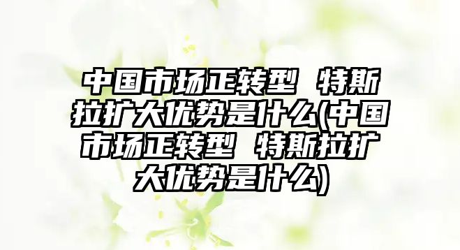 中國市場正轉型 特斯拉擴大優勢是什么(中國市場正轉型 特斯拉擴大優勢是什么)