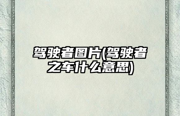 駕駛者圖片(駕駛者之車什么意思)