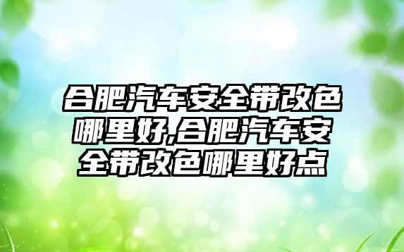 合肥汽車安全帶改色哪里好,合肥汽車安全帶改色哪里好點