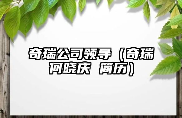 奇瑞公司領導（奇瑞何曉慶 簡歷）