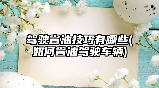 駕駛省油技巧有哪些(如何省油駕駛車輛)