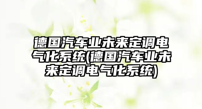 德國汽車業未來定調電氣化系統(德國汽車業未來定調電氣化系統)