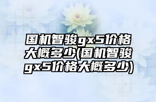 國機智駿gx5價格大概多少(國機智駿gx5價格大概多少)