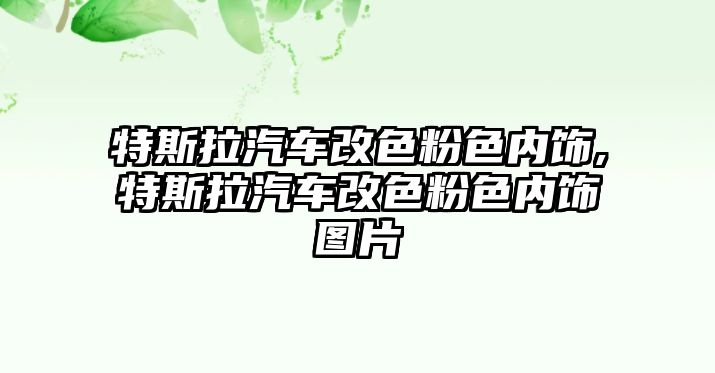 特斯拉汽車改色粉色內飾,特斯拉汽車改色粉色內飾圖片