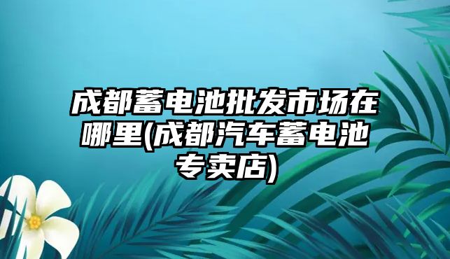 成都蓄電池批發(fā)市場在哪里(成都汽車蓄電池專賣店)