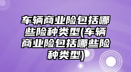 車輛商業險包括哪些險種類型(車輛商業險包括哪些險種類型)